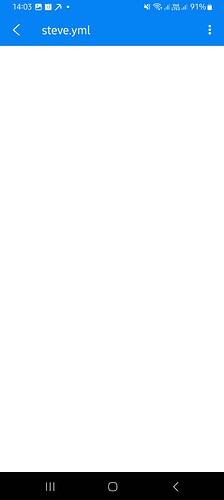 Screenshot_20230313_140300_RS File Manager