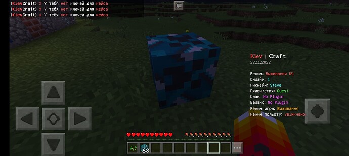 Screenshot_20221122-031607_Minecraft - Pocket Edition