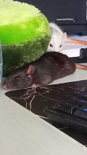 photo_2022-08-07_13-54-31