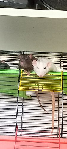 photo_2022-08-07_13-55-45