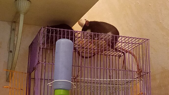 photo_2022-08-07_13-55-13