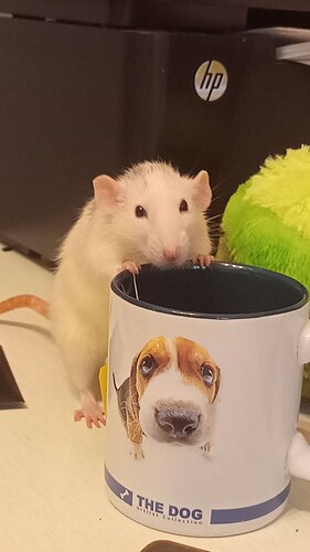 photo_2022-08-07_13-55-10