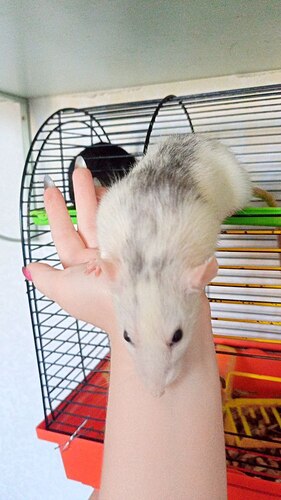 photo_2022-08-07_13-56-12