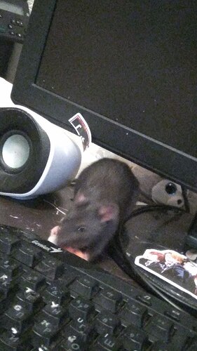 IMG_20220521_230613_846