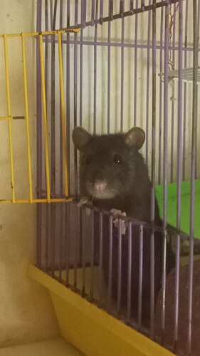 photo_2022-08-07_13-54-25