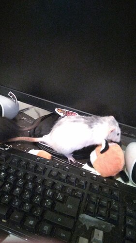 IMG_20220521_230612_122