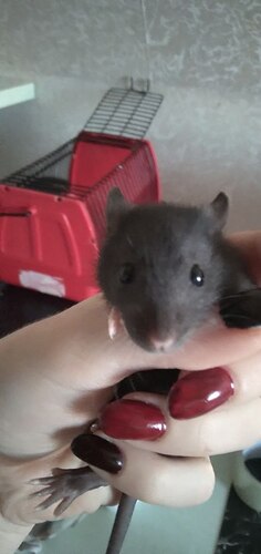 IMG_20220521_231243_083