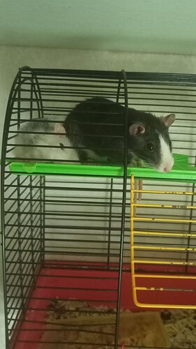 photo_2022-08-07_13-54-22