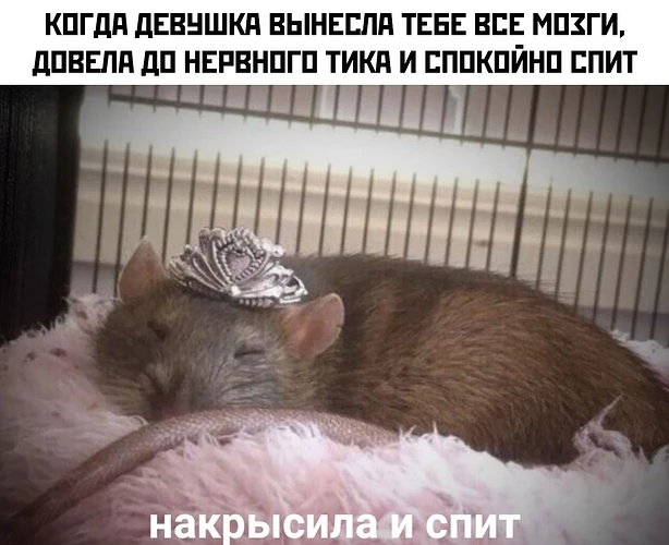 qMM5hPpu3c0tlgjS384j7UxleYPhbauNuWugr_dNUu-P0B7tEg-1FLXvpjmZ4k02cGNHeqG6pSfoe1Iz2rJ2Kmv8