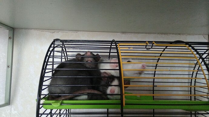 IMG_20220521_230606_964