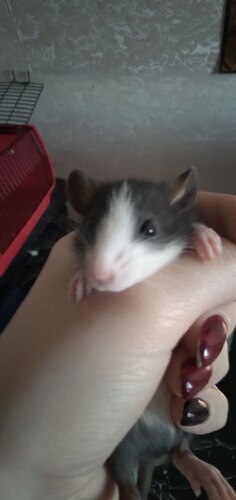 IMG_20220521_231240_205