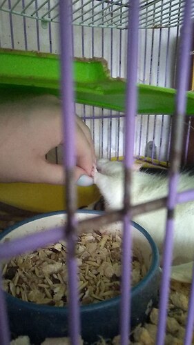 IMG_20220523_080704_846