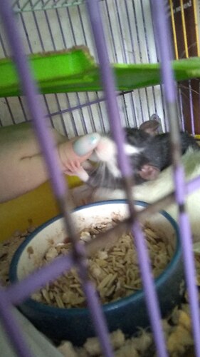 IMG_20220523_080708_977