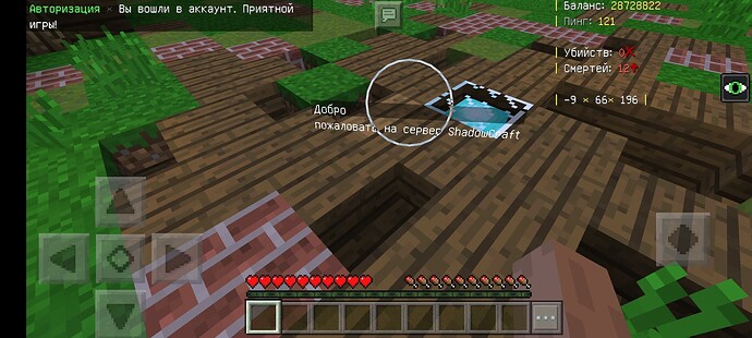 Screenshot_2023-03-16-21-34-09-815_com.mojang.minecraftpe