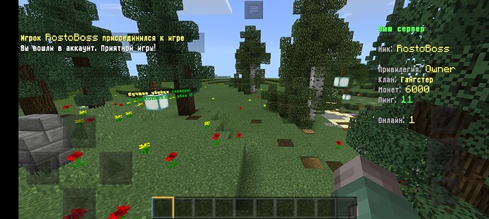 Screenshot_2022-11-15-08-58-26-591_com.mojang.minecraftpl