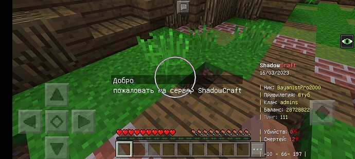 Screenshot_2023-03-16-20-53-17-033_com.mojang.minecraftpe