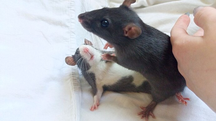 IMG_20220610_173712_070